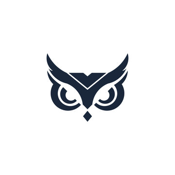 owl logo vector, owl icon  template