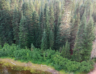 Stunning Olallie Lake with the forest reflecting in the pristine water surrounded by the gifford pinchot national forest hidden in the green mountains of southern Washington State in Skamania County