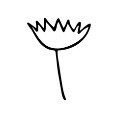 Spring summer flower in doodle style. Simple black and white illustration