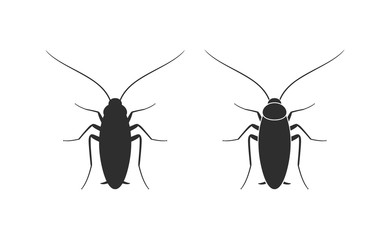 Cockroach logo. Isolated cockroach on white background