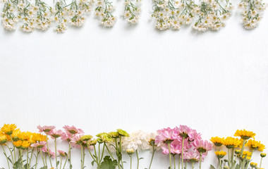 Many colorful flowers on below with white cutter flower on above of white background. Top view. Focus on colorful flowers. Love concept. Copy space.