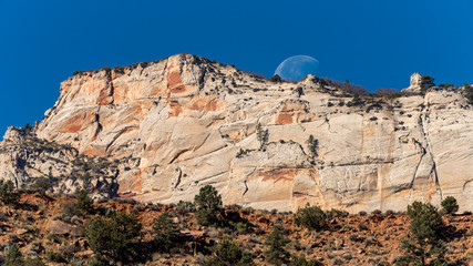 Fototapeta premium Moonrise in Zion