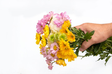 Hand holding many colorful flowers bouquet on white background. Love concept.