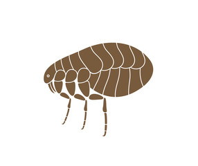 Flea logo. Isolated flea on white background
