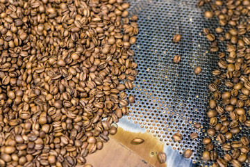 Fresh roasted coffee arabica beans have been cooled down in the roaster cooling bin/tray after completed roasting process.