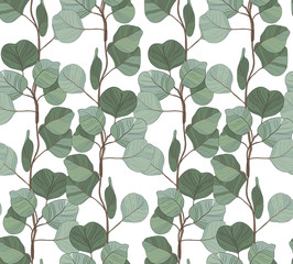 Seamless pattern with eucalyptus.