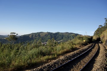 Fototapeta na wymiar Forest railway with top view with blue sky and tea garden and green leaf 