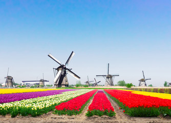Dutch wind mills