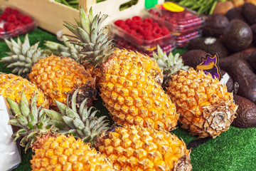 Different kinds of tropical fruits at market. Pineapple, avocado, raspberry. Fresh raw organic bio uncooked fruits for sale at farmers market. stock photo of fruits vegan food, healthy nutrition.