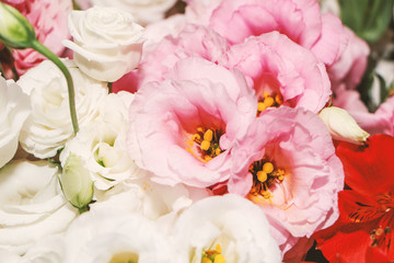  Details of flowers from a beautiful garden