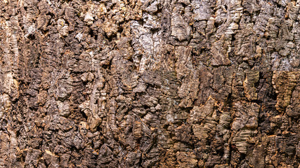 The background of natural wood punishment is not treated with paint or varnish.