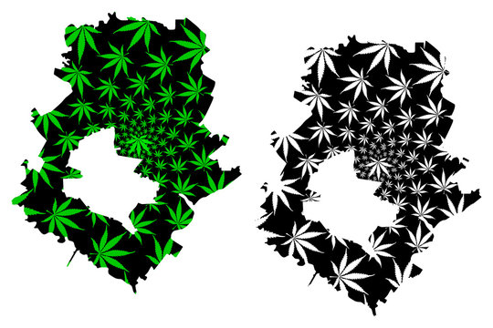 Ilfov County (Administrative divisions of Romania, Bucuresti - Ilfov development region) map is designed cannabis leaf green and black, Ilfov map made of marijuana (marihuana,THC) foliage