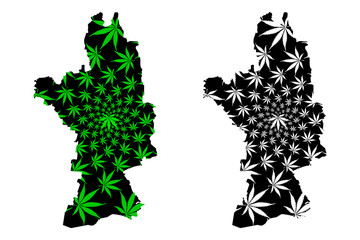 Olt County (Administrative divisions of Romania, Sud-Vest Oltenia development region) map is designed cannabis leaf green and black, Olt map made of marijuana (marihuana,THC) foliage..