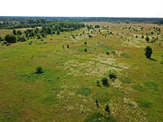 Aerial drone view. Rare green shrubs among the meadows.