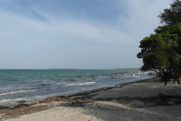 Vacations in Dar es Salaam