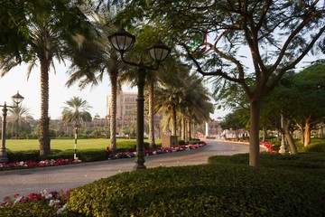 wooded entrance street of Emirates Palace in Abu Dhabi