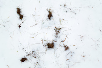 A snow covered field with grass in winter.