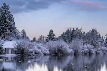 Old Bridge Pilings On Mud Bay After First Snow, Puget Sound, Olympia Washington