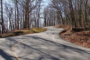 road in the forest