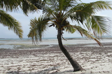 Vacations in Dar es Salaam