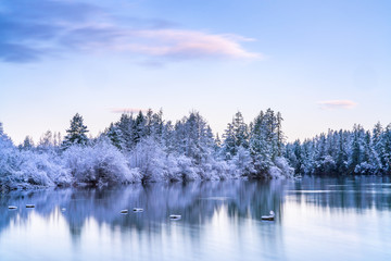 Old Bridge Pilings On Mud Bay After First Snow, Puget Sound, Olympia Washington