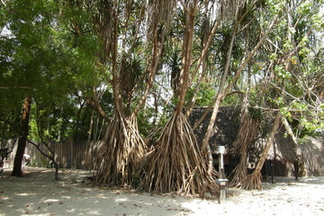 Vacations in Dar es Salaam