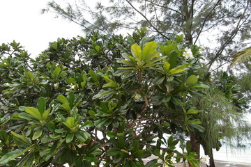 Vacations in Dar es Salaam