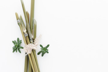 Minimal style photography. Bamboo natural creative composition top view background with copy space for your text. Flat lay.