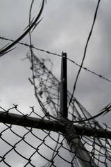 barbed wire fence with gray skies