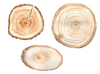 Watercolor slices of wood.