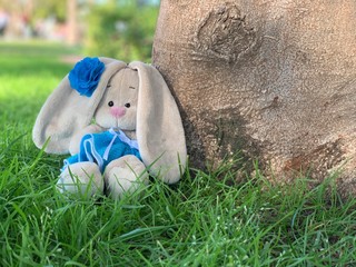 Easter bunny is sitting on the grass in the park