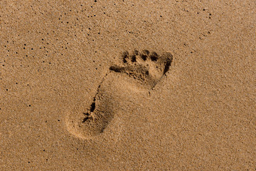 Footprints on the shore of the sea