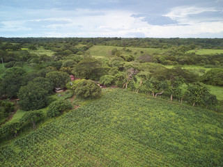 Green agriculture hills