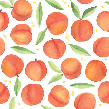 Peaches watercolor seamless pattern. Hand drawn peaches. Painted summer design