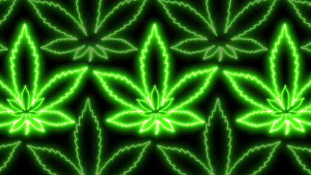 4k Neon Cannabis Leaves Looped