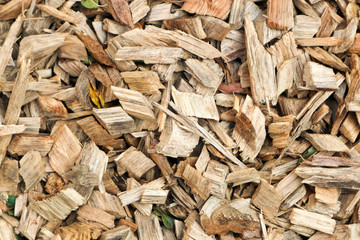 Wood chips background close up