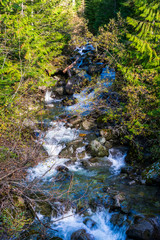 River Near Mount Baker, Washington
