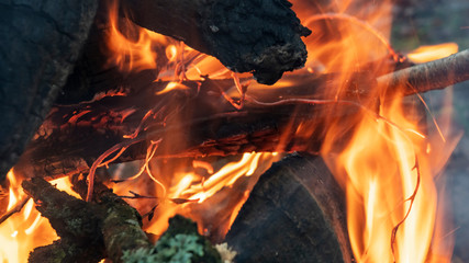 Burning wood at evening. Campfire at touristic camp at nature. Flame amd fire sparks on dark abstract background. Hellish fire element. Fuel, power and energy