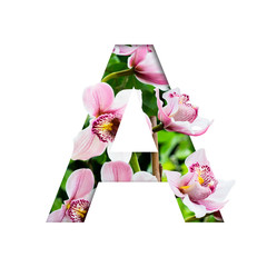 Flower font. Letter A made from natural flowers. Composition of beautiful orchids. Text in the form of tropical plants.