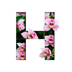 Flower font. Letter H made from natural flowers. Composition of beautiful orchids. Text in the form of tropical plants.
