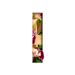 Flower font. Letter I made from natural flowers. Composition of beautiful orchids. Text in the form of tropical plants.