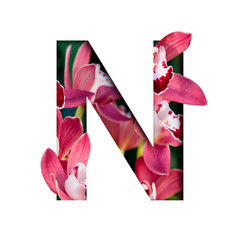 Flower font. Letter N made from natural flowers. Composition of beautiful orchids. Text in the form of tropical plants.