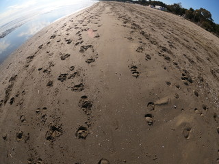 Beach by Morning with Sunny Sky