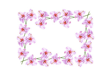 Obraz na płótnie Canvas Bright lily flowers isolated on white background.
