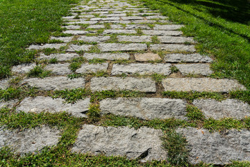 Stone Pathway in a Green Park