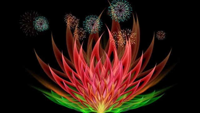 DGI GLOWING LOTUS FESTİVE DISPLAY