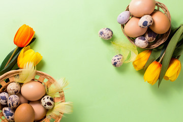 Easter eggs in basket with feather and tulips. On green background. Top view.