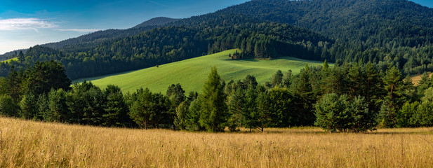 Mountain landscape, meadows and morning light of mountain range, large panorama.