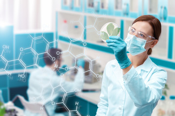 Portrait of woman doctor is holding petri dish with leaves on background of laboratory. Scientists...