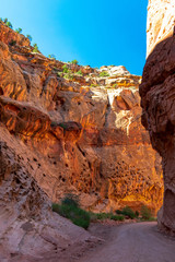 Capitol Reef National Park, Utah